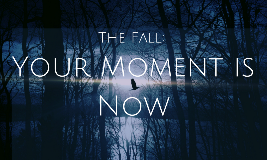 The Fall: Your Moment is Now - Dawning Perspective